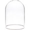 Plymor 5.5" x 8" Glass Display Dome Cloche with Silver Rim (no Base)